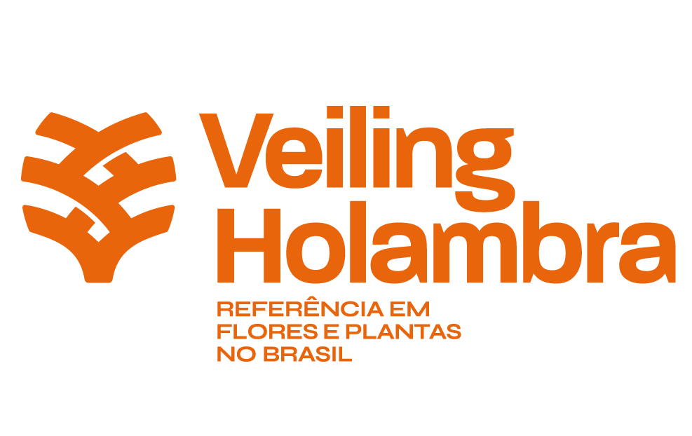 Veiling Holambra